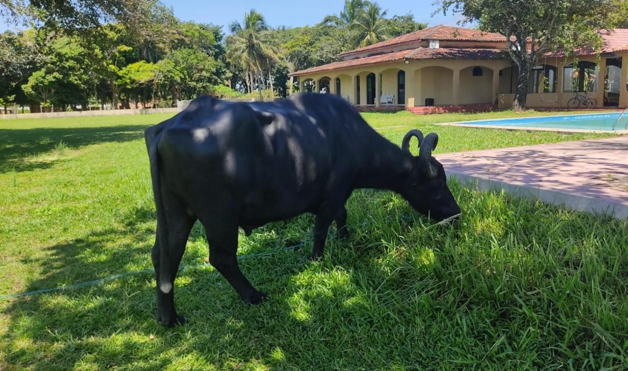 Hotel Marajó 3*
